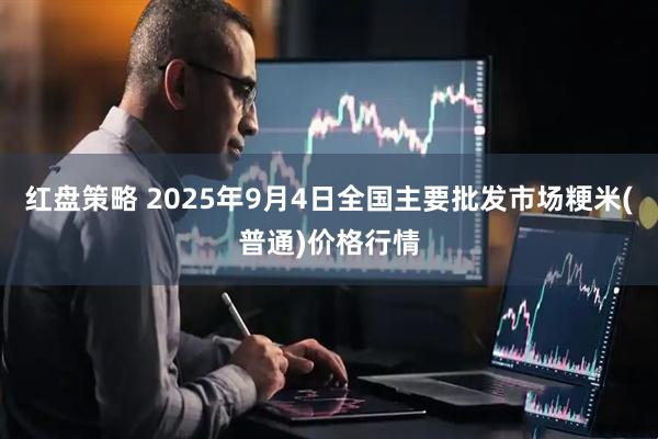 红盘策略 2025年9月4日全国主要批发市场粳米(普通)价格行情