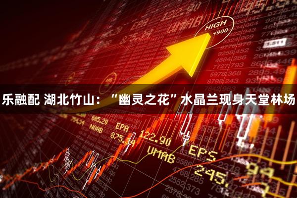 乐融配 湖北竹山：“幽灵之花”水晶兰现身天堂林场