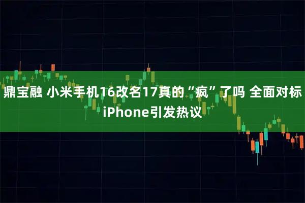 鼎宝融 小米手机16改名17真的“疯”了吗 全面对标iPhone引发热议