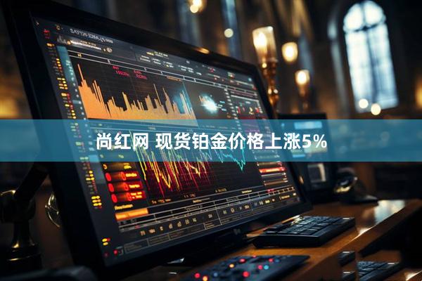 尚红网 现货铂金价格上涨5%