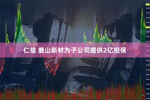 仁信 鹿山新材为子公司提供2亿担保