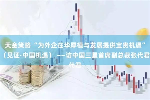 天金策略 “为外企在华厚植与发展提供宝贵机遇”（见证·中国机遇） ——访中国三星首席副总裁张代君