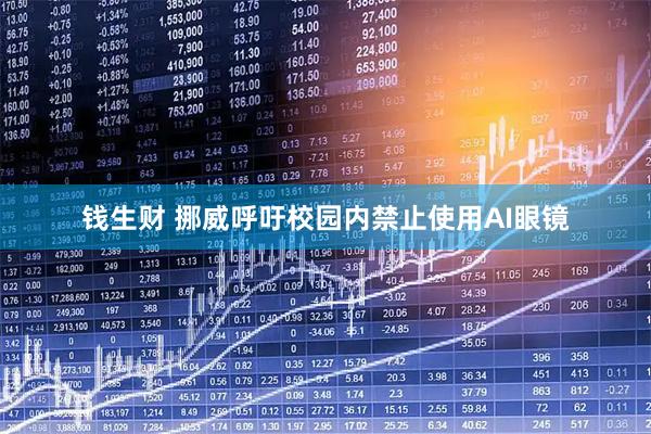 钱生财 挪威呼吁校园内禁止使用AI眼镜